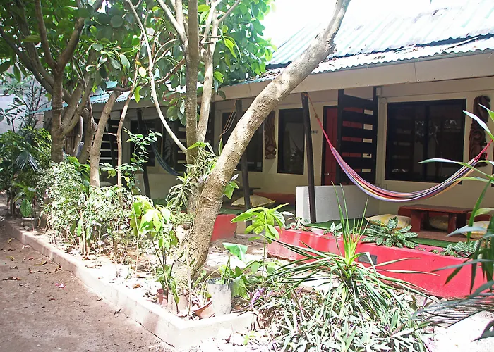 Lazy Dog Bed & Breakfast