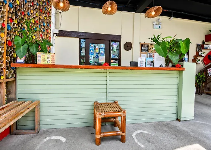 Lazy Dog Bed&Breakfast